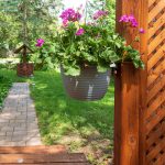 Hanging gray planter with pink geraniums in a sunlit backyard near a wooden lattice fence and walkway.